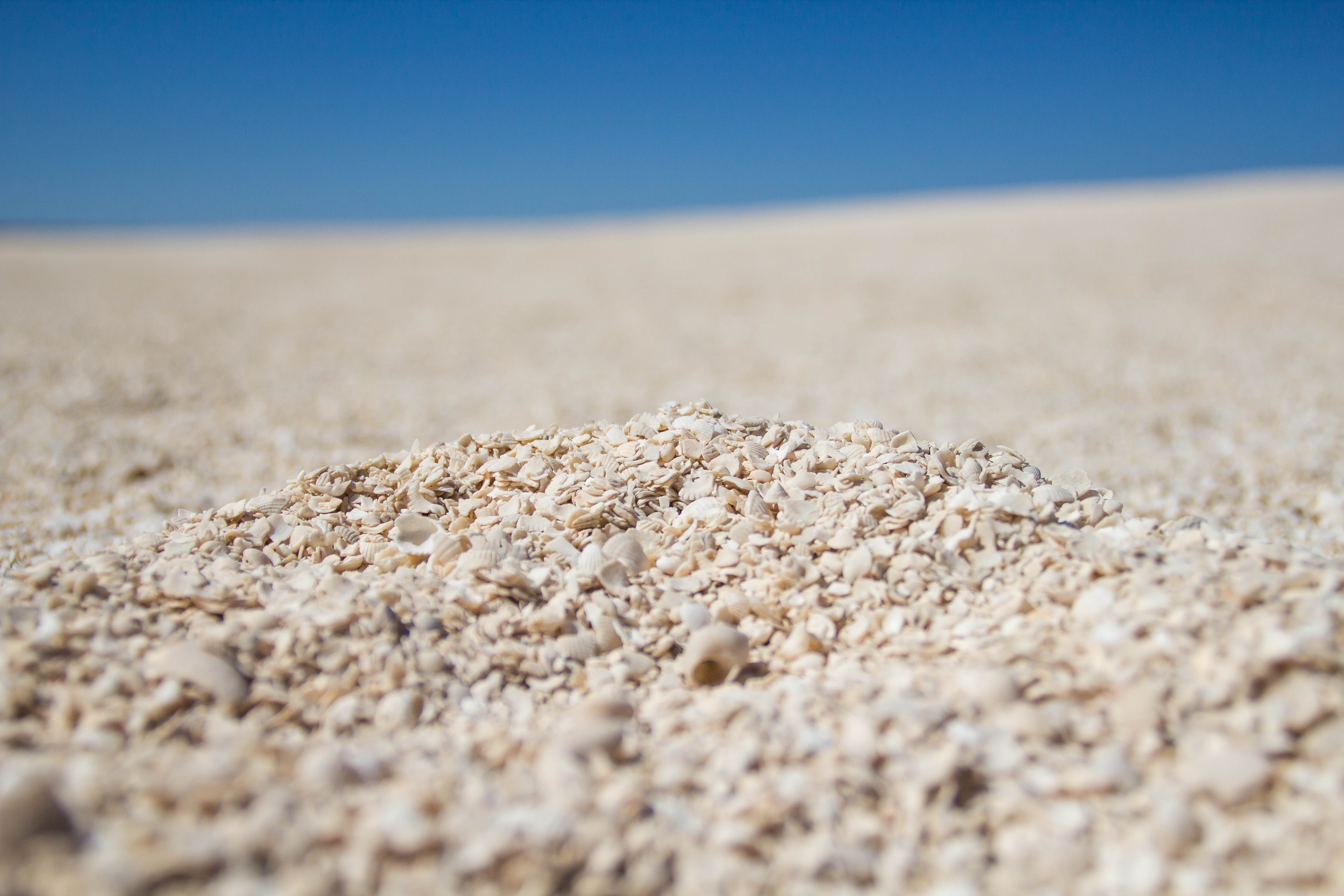 Photo: Patrik Enlund