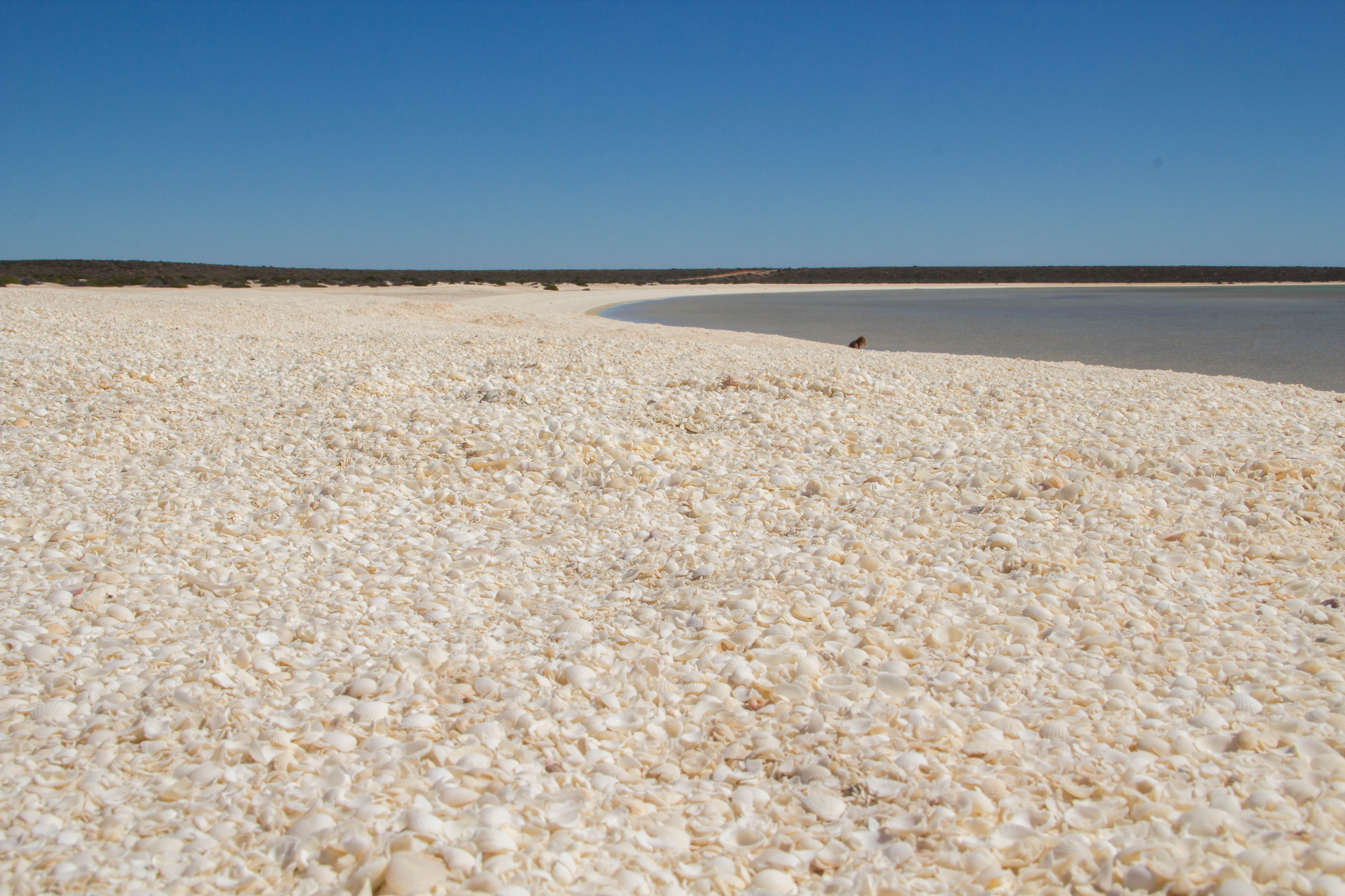 Photo: Patrik Enlund