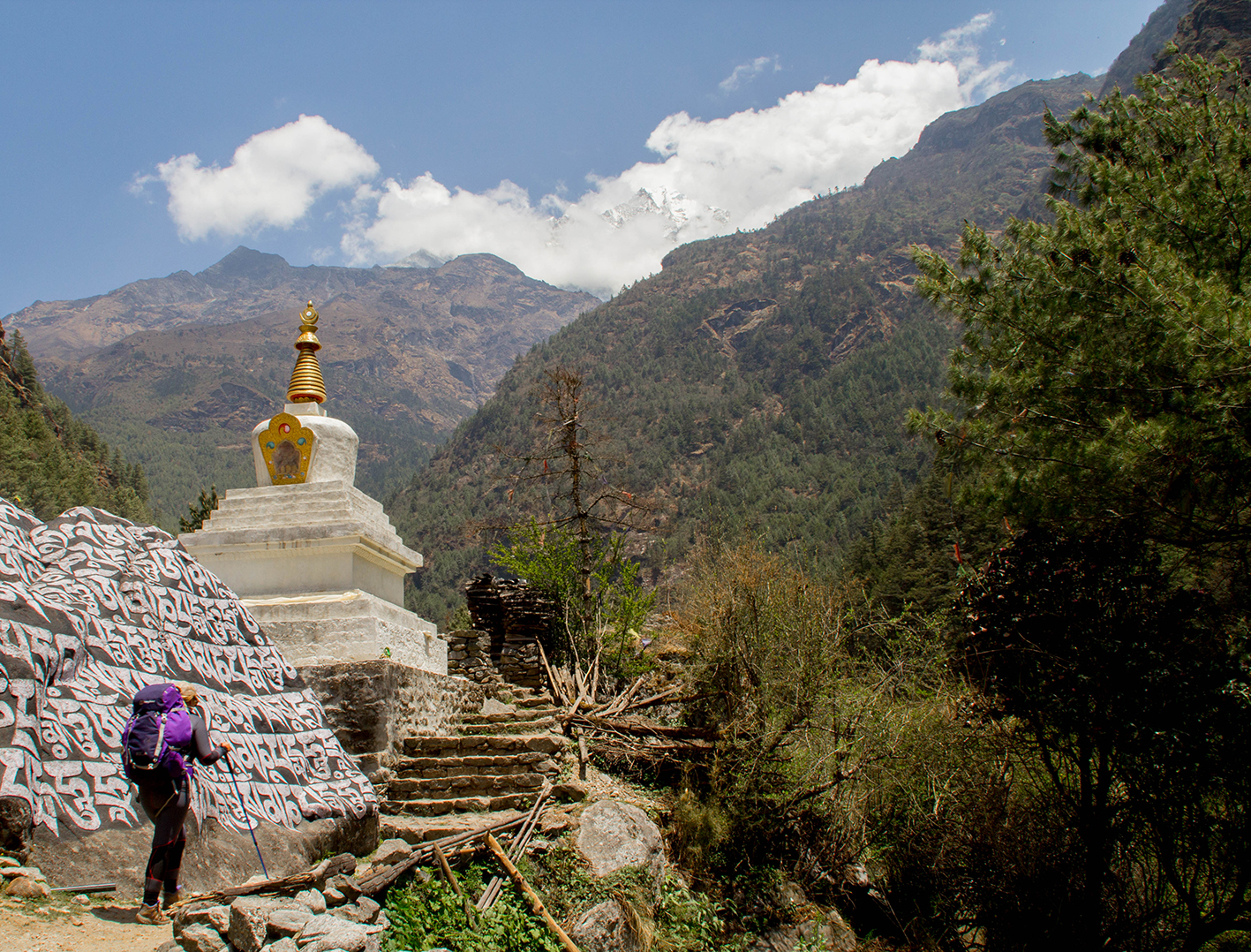 himalaya-14