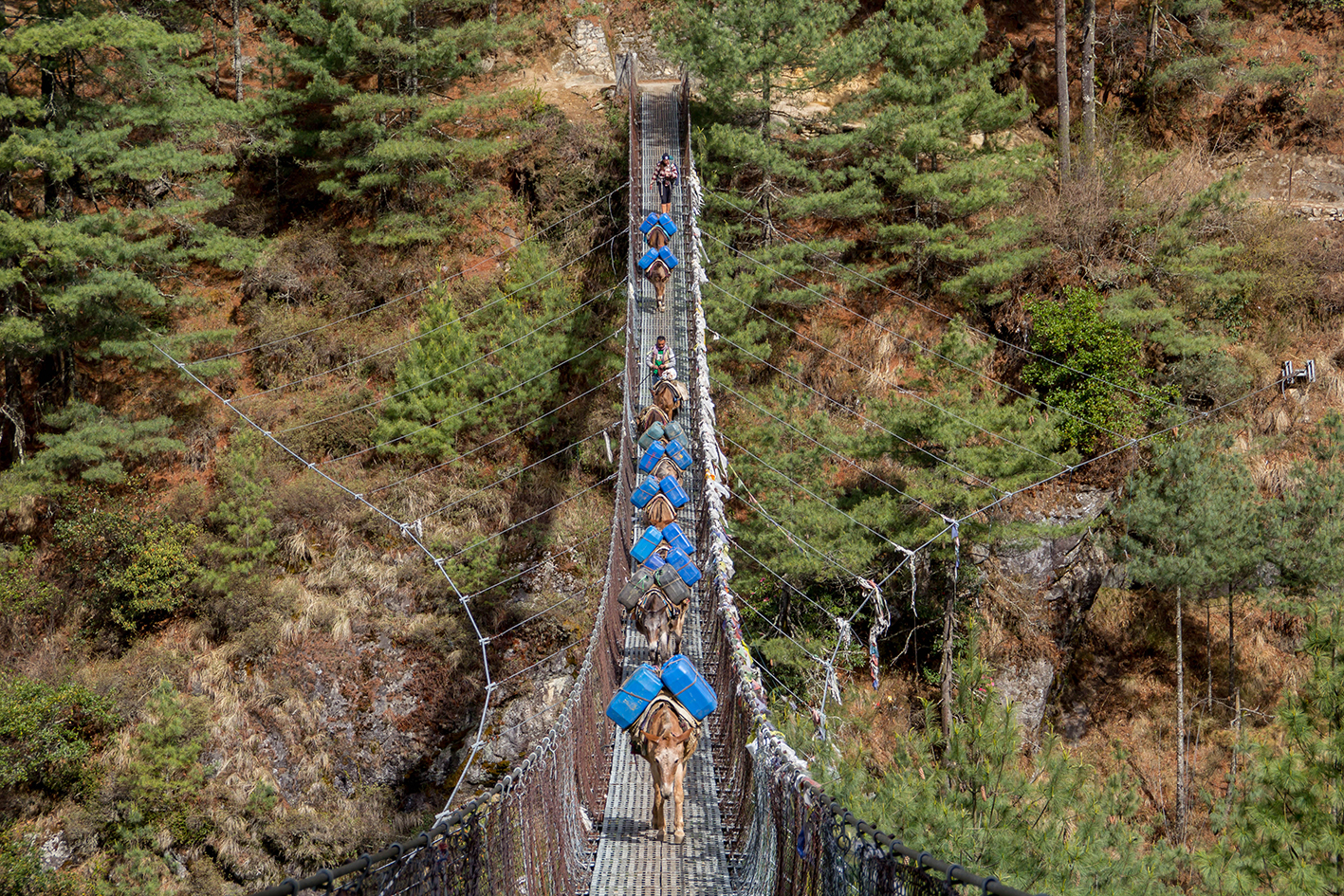 himalaya-16