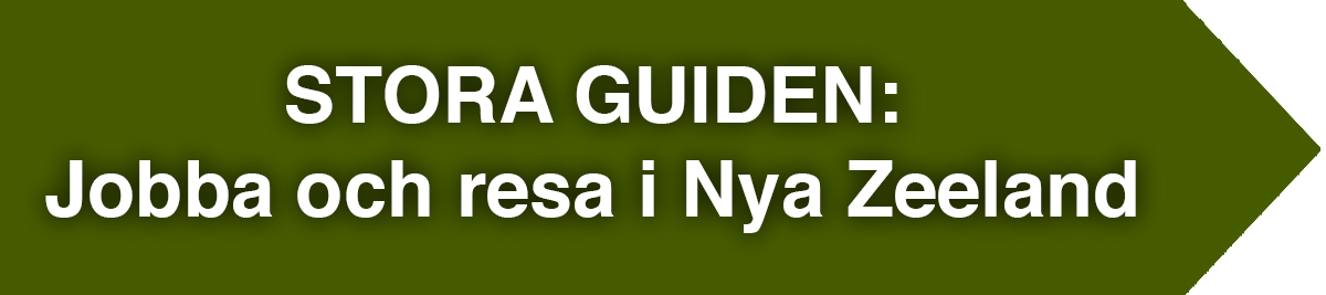 guiden