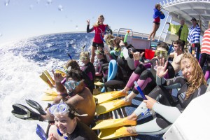 Whale Shark Exmouth Western Australia