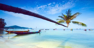 koh tao
