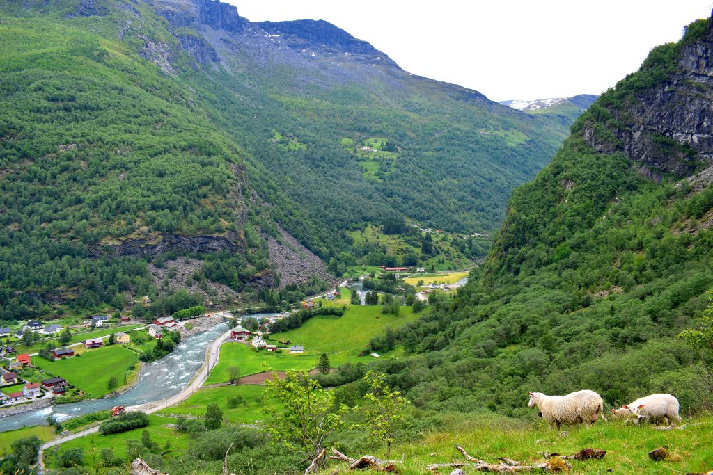 Utsikt över Flåm från Brekkefossen